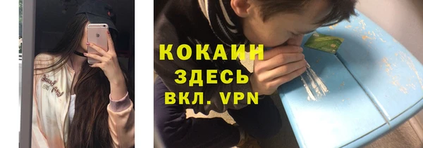 молекула духа Алексеевка